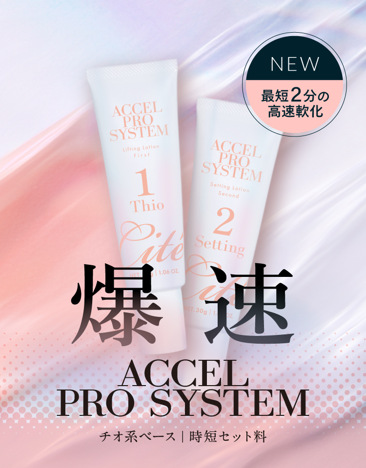 main_slider_accel_prosystem.jpg
