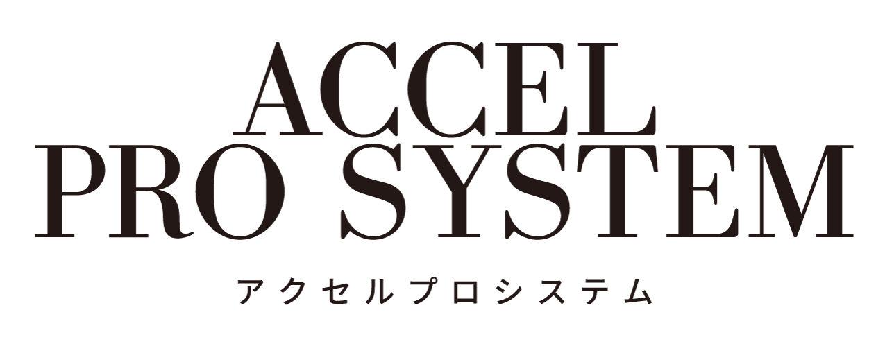 アクセルプロシステム