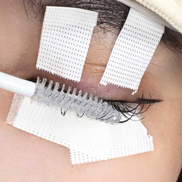 STEP02 根元部分に軽く触れる程度で均一に塗布