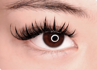 コームで梳かすだけの簡単ステップイメージ