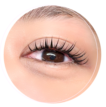 ラッシュマジックを用いた束形成イメージ