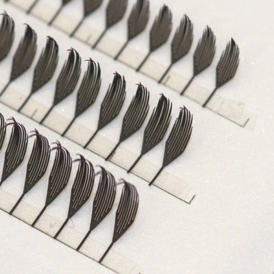 プリメイドラッシュブラックフェザートライアル Aタイプ