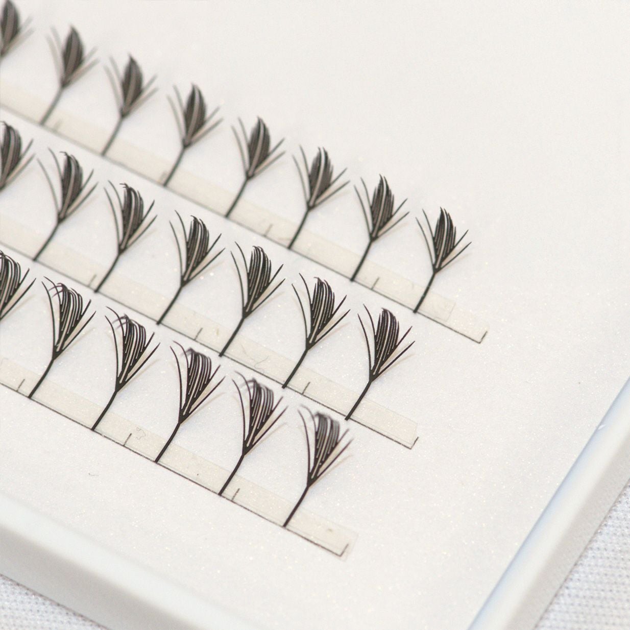 プリメイドラッシュブラックフェザートライアル Bタイプ