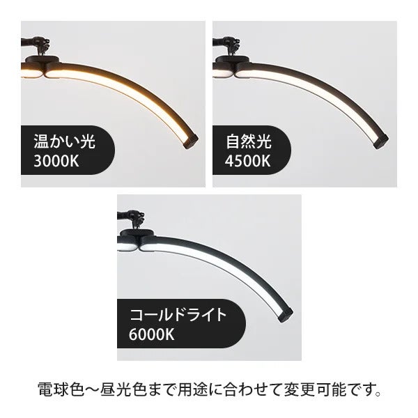 【7BEAUTY】ムーン型LEDライト (トレイ付) ブラック