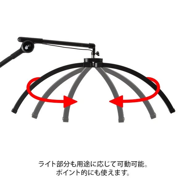 【7BEAUTY】ムーン型LEDライト (トレイ付) ブラック