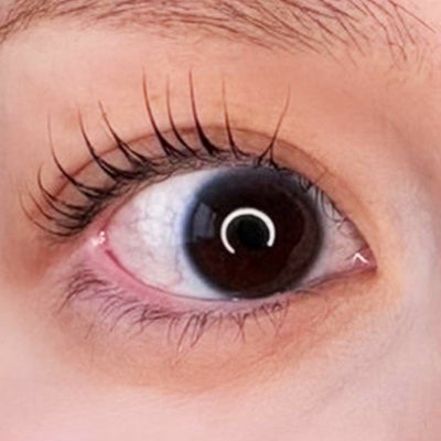 【Foula】ラッシュフィクサーブラック 10ml 6本セット